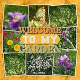 Crazy Plant Lady Enhanced Photo Clusters