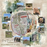 Brush & Bloom Bundle