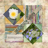 Brush & Bloom Bundle