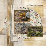 Brush & Bloom Bundle