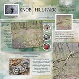 Brush & Bloom Bundle