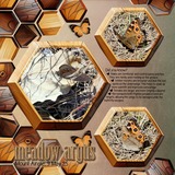 The Curiosity Collection 1