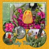 Hand Brushed Overlays 1-4 Bundle