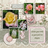 Coquette Corner Bundle