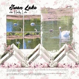 Coquette Corner Bundle