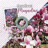 Coquette Corner Bundle