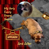 Bravo! The Collection