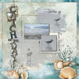 12 Volumes - Vol. 5 - Weathered Tides Add On Bundle