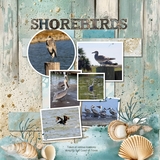 12 Volumes - Vol. 5 - Weathered Tides Add On Bundle