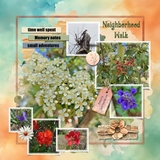Softly Collected Add On Bundle