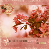 Cottage Arts Designer Days Exclusive Bundle - May 2026