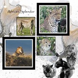A Fluid State of Mind 5 Add On Bundle