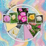 Designs by Mandy King Designer Days Exclusive Bundle 01 - May 2026