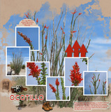 Designs by Mandy King Designer Days Exclusive Bundle 02 - May 2026