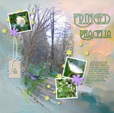 Designs by Mandy King Designer Days Exclusive Bundle 03 - May 2026