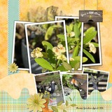 Designs by Mandy King Designer Days Exclusive Bundle 03 - May 2026