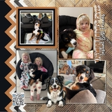 Elegant Patterned Easy Masks & Overlays 2