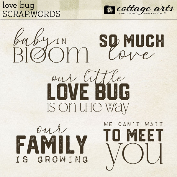 Love Bug Scrap.Words Digital Art - Digital Scrapbooking Kits