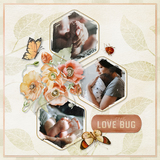 Love Bug Paper Pak