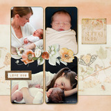 Love Bug Cluster Groups - Frames