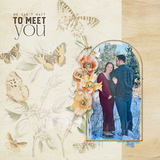 Love Bug Cluster Groups - Frames