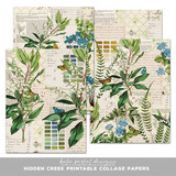Katie Pertiet Designs Designer Days Exclusive Bundle - May 2026