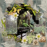 Prestige Papers - Feathers & Ferns
