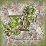 Prestige Papers - Feathers & Ferns