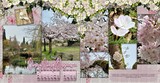 Studio Nova Designer Days Exclusive Bundle 02 - May 2026