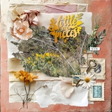Designs by Laura Burger Designer Days Exclusive Bundle 02 - May 2026