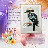 Designs by Laura Burger Designer Days Exclusive Bundle 03 - May 2026