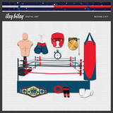 Boxing 2 Kit