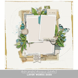 Layer Works 2430