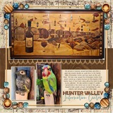 The Curiosity Collection 1
