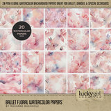 Ballet Watercolor Kit