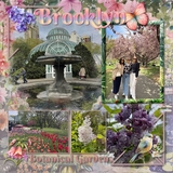 Butterfly Garden Watercolor Bundle