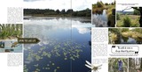 Travel Notes - Watery Wonders