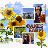 Edge to Edge Easy Mask Photo Clusters 3