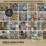 Camino de Santiago Bundle