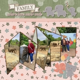 Elephant Escapes