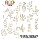 Vintage Paper - Maps