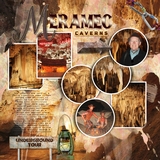 Artistic License Template Trio 11