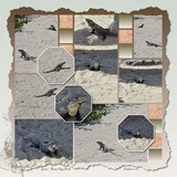 Building Blocks Templates 9-16