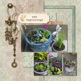 Garden Whispers Bundle 1
