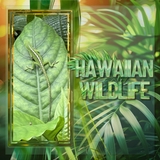 Paper Duo Tropical Leaf Bokeh