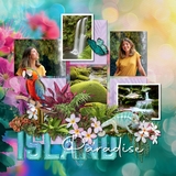 Paper Duo Tropical Flower Bokeh