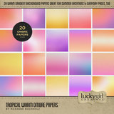 Paper Duo Tropical Flower Bokeh