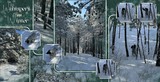 Artistic License Double Take - Within Bounds
