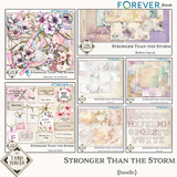 Stronger Than the Storm Bundle