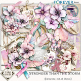 Stronger Than the Storm Bundle